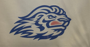PTR Cooling Towel